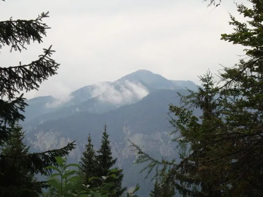 Monte Miaron - panorama