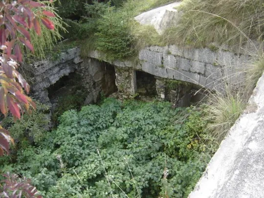 Forte Cima Lan - Interno del forte invaso dalla vegetazione