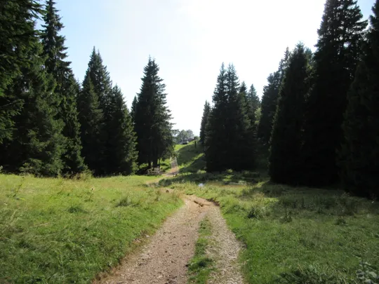 Ultimo incrocio - in fondo il rifugio Stalder