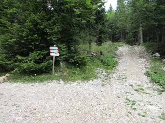 Inizio del sentiero verso Malga Fiara - Rifugio Campomuletto