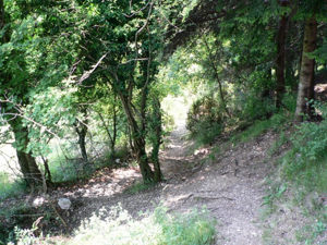 Cascate di Rotzo - il sentiero