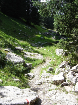 Monte Castelgomberto - sentiero