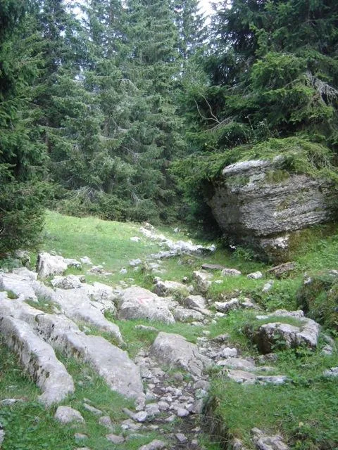Monte Castelgomberto