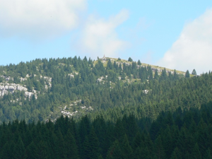 Monte Castelgomberto - avvicinamento alla Malga Slapeur