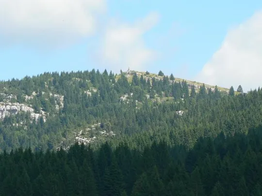 Monte Castelgomberto - avvicinamento alla Malga Slapeur