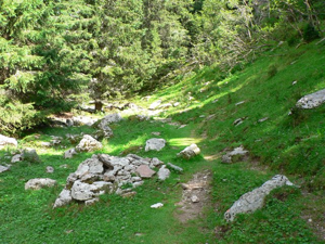Monte Castelgomberto - sentiero