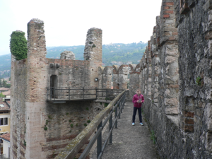 Castello Scaligero di Torri del Benaco