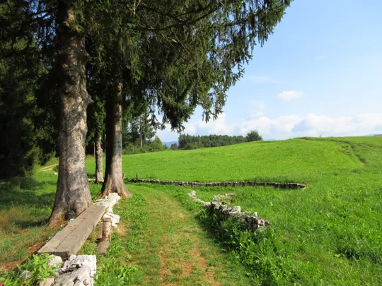 Dettaglio del sentiero con panchina