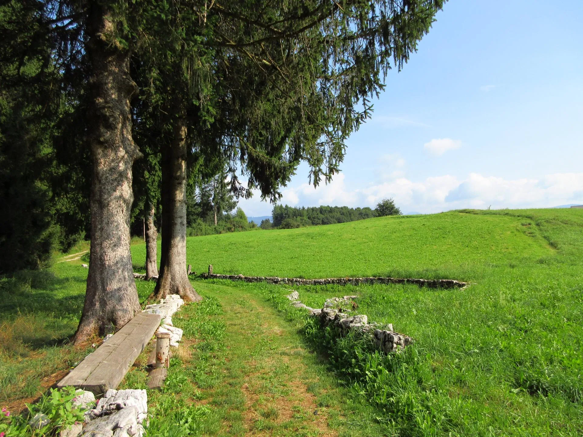 Tra i boschi di Cesuna e le campagne di Asiago