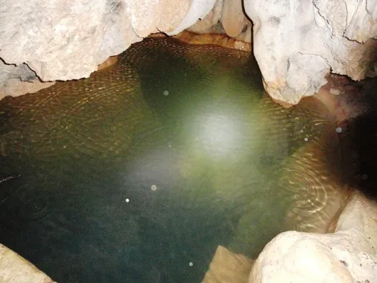 Grotta dell'elefante - La vasca