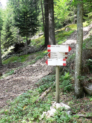 Monte Cimone - Lavarone - Dettagli del sentiero
