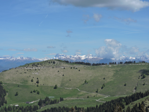 Monte Asolone - Col della Beretta - vista sul Monte Pertica