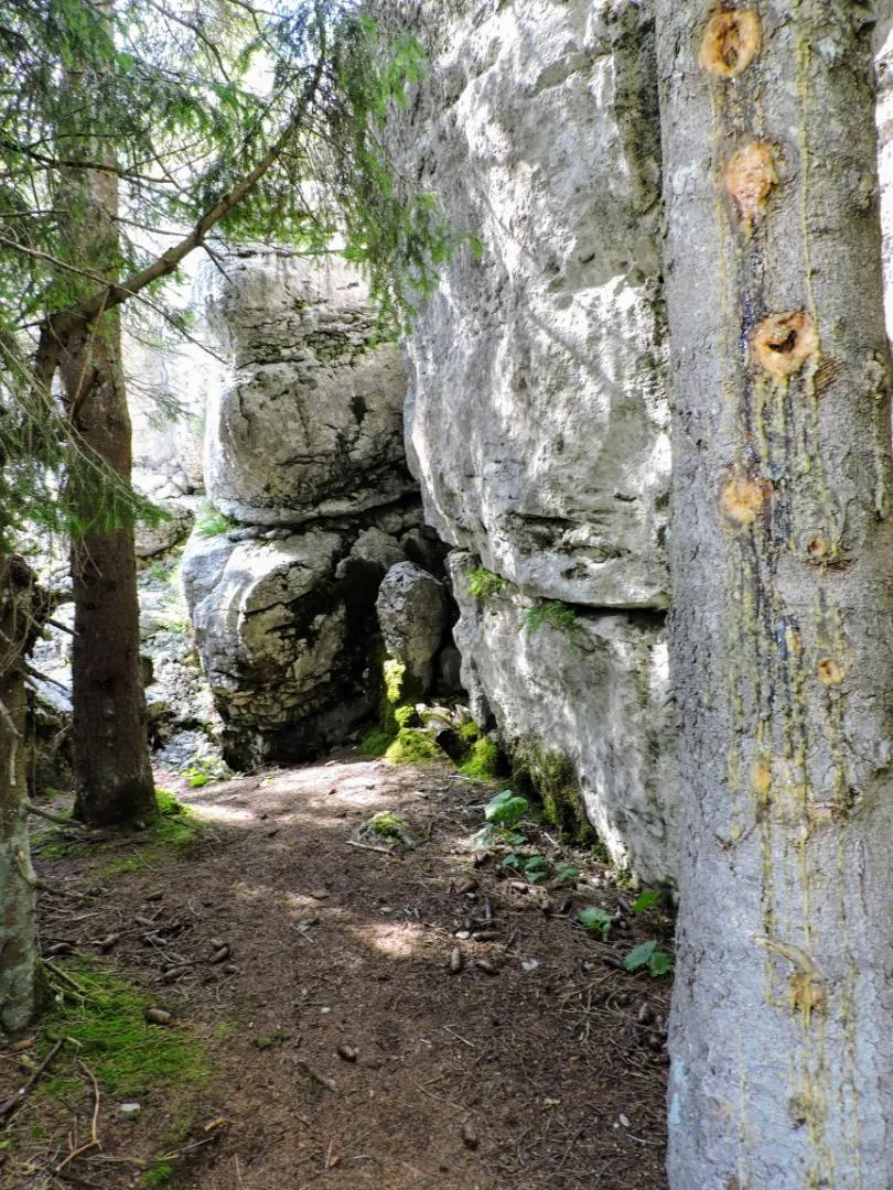 Labirinto Brustolà di Monte Fiara