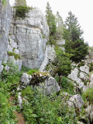 Monte Fiara - Particolare del percorso
