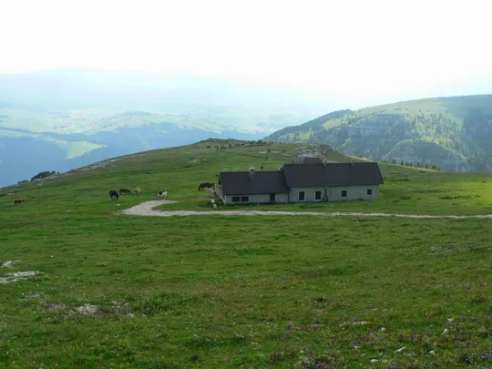 Monte Fior - Malga Montagna Nuova