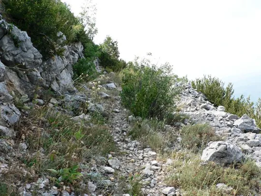 Monte Ivan - Sentiero