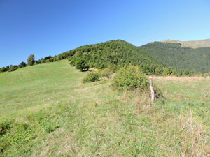 Monte Palon - dettaglio del sentiero