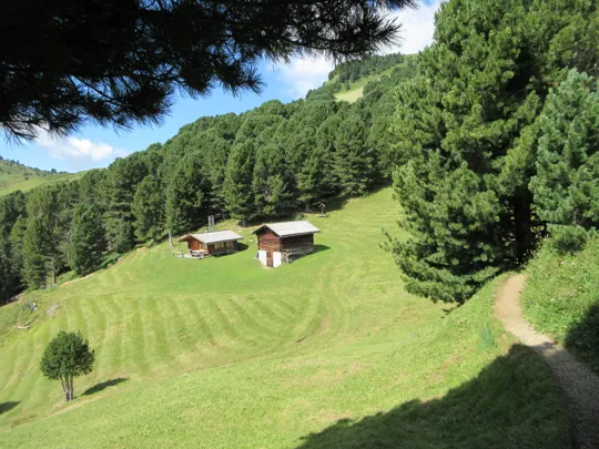 Dettaglio del percorso in prossimità del ponticello