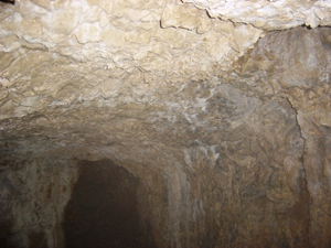 Monte Favaro - grotta