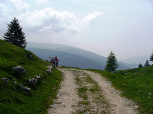 Monte Zebio - strada verso la lunetta