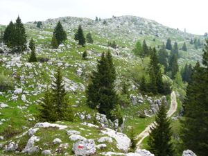 Monte Zebio - vista su Crocetta
