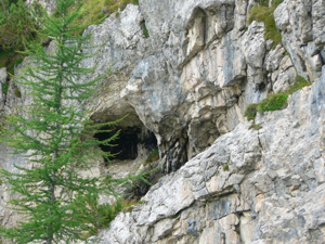 Monte Ortigara - nidi di mitragliatrice