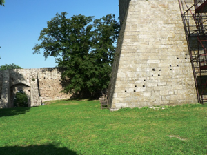Rocca di Monselice - Mastio Federiciano - Dettagli della Torre
