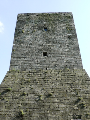 Rocca di Monselice - Mastio Federiciano - Dettagli della Torre