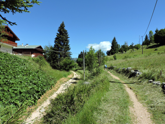 Dettaglio del percorso nei pressi di Trescè Conca