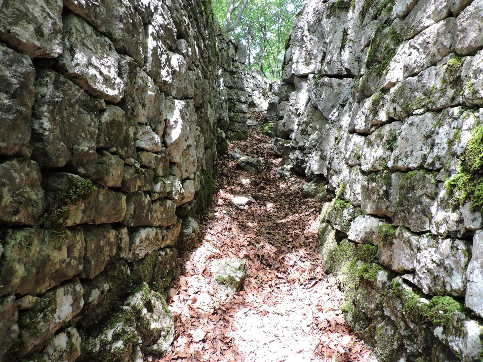 I Trinceroni di Campolongo