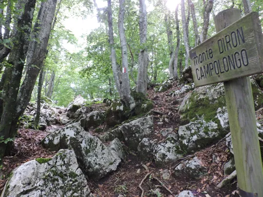 Verso la cima del monte