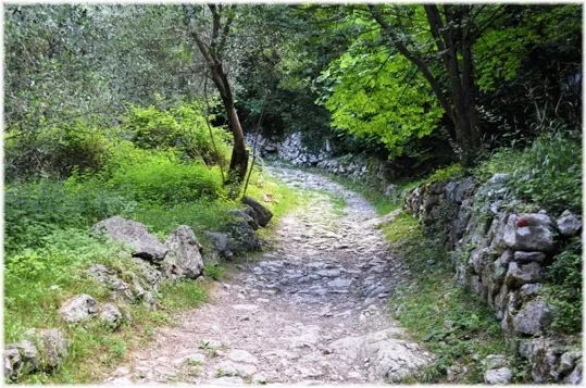 Bosco Caproni - il sentiero