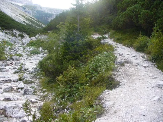 Locatelli - Il sentiero lascia la Val Fiscalina per Val Sassovecchio