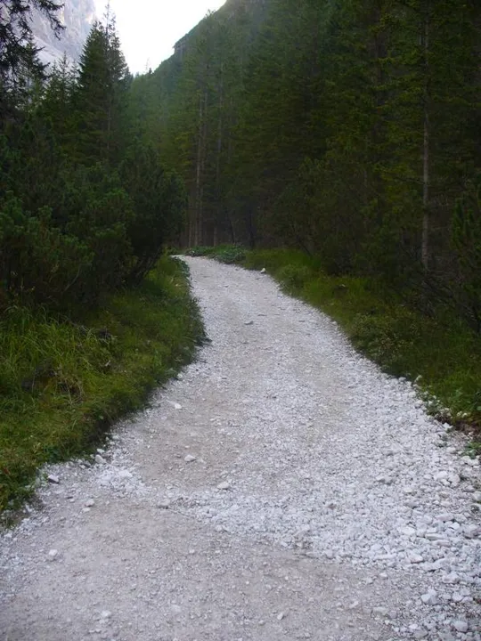 Locatelli - Sentiero nei pressi del Rifugio Fondo Valle