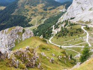 Vista sulla strada che sale al Passo Sesis e in lontananza il Rifugio Sorgenti del Piave