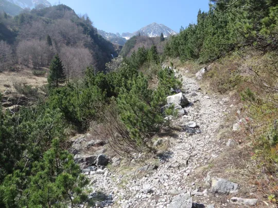 Monte Pasubio - Val Sorapache - Deviazione per acque fredde