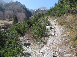 Monte Pasubio - Val Sorapache - Deviazione per acque fredde