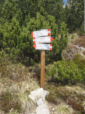 Monte Pasubio - Val Sorapache - Bivio con Sentiero 380